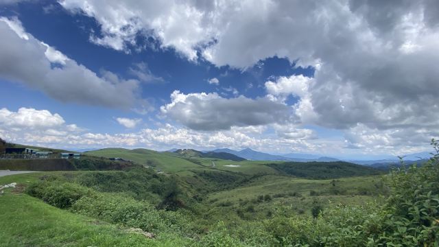 东山国际康养度假区旅行图片 4