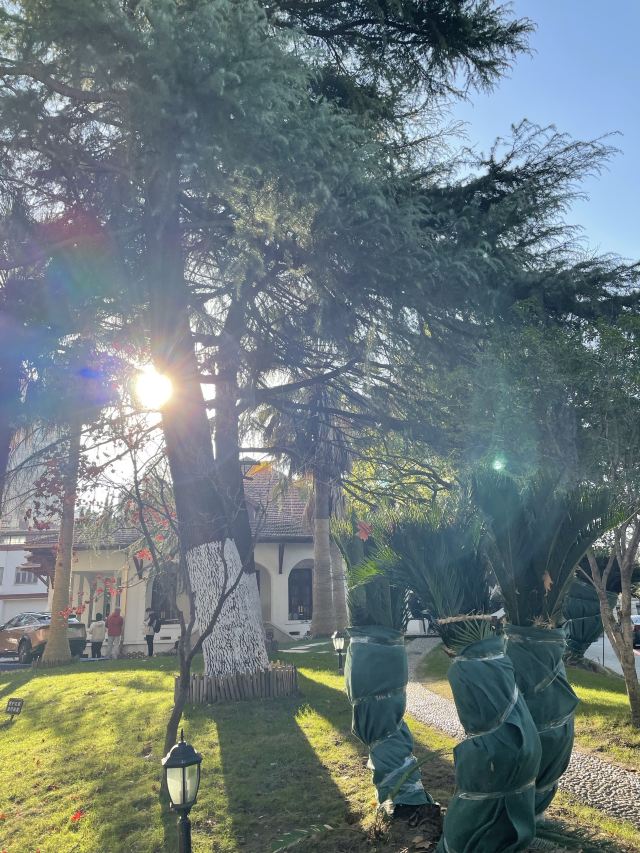 意大利总领事馆旧址旅行图片 7