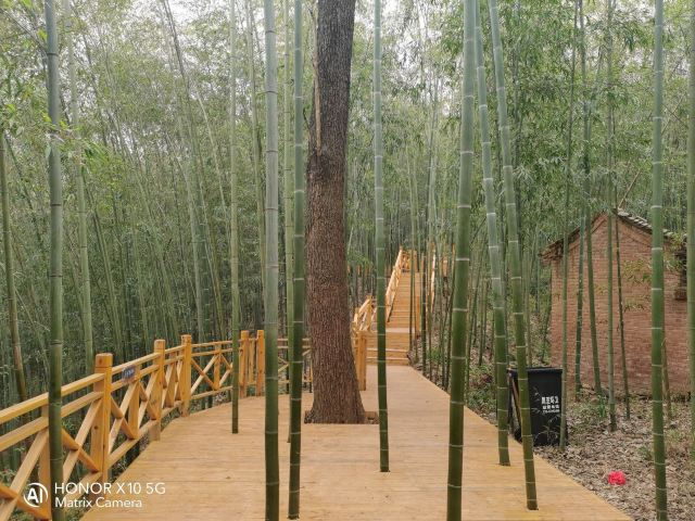 中国·秦岭·竹海旅行图片 1