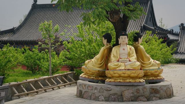 慈觉禅寺旅行图片 2