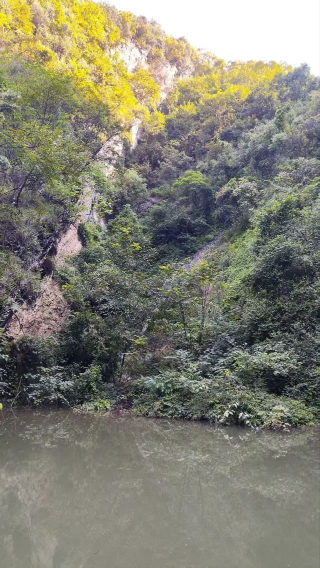 龙门河国家森林公园神龙洞景区旅行图片 8