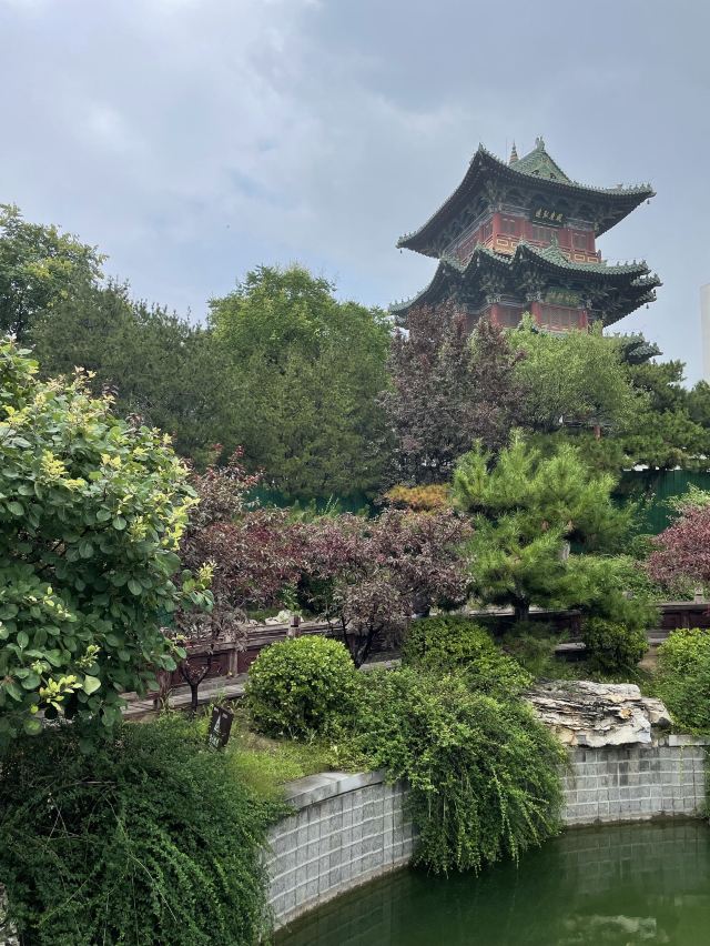 迎泽公园旅行图片 14