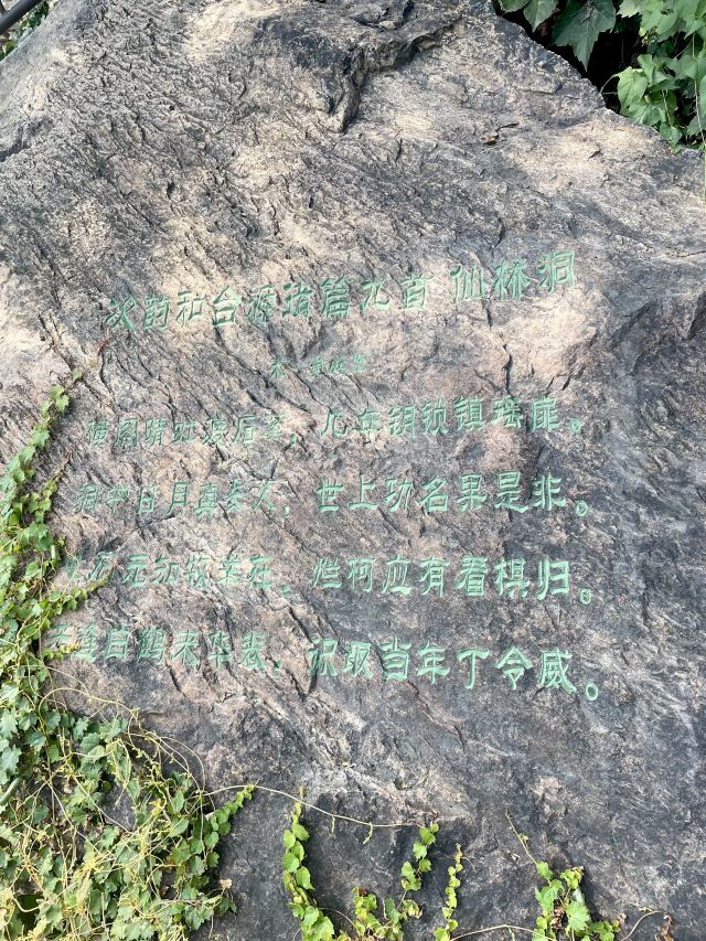 人参谷森林公园旅行图片 8