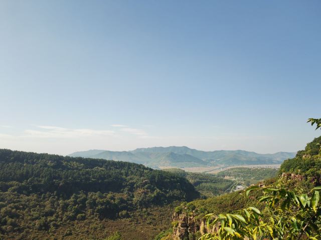 人参谷森林公园旅行图片 3