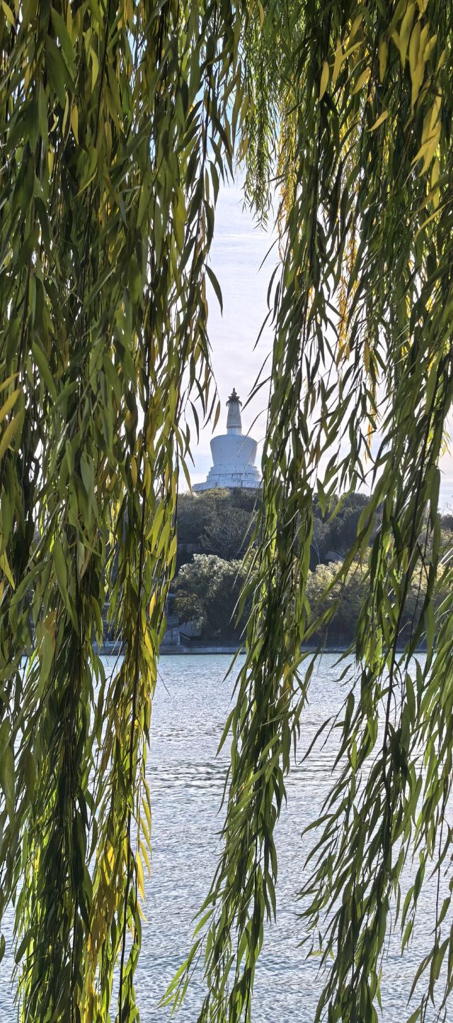 北海公园旅行图片 4