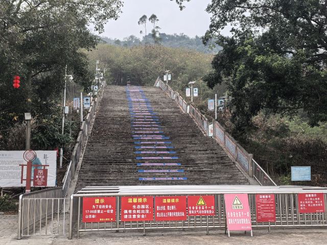 敢壮山旅行图片 9