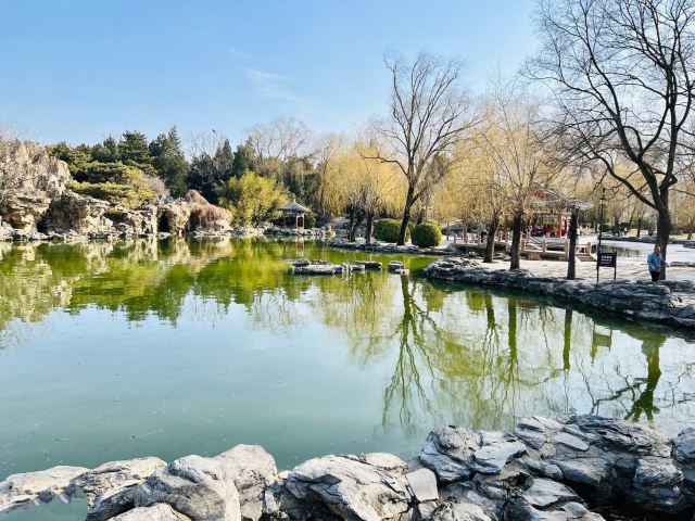 日坛公园旅行图片 10