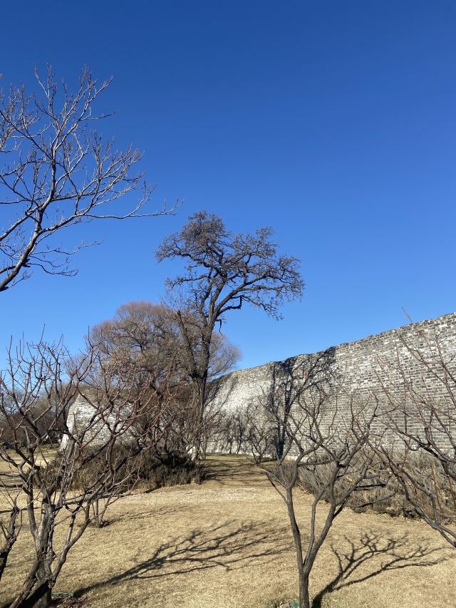 北京明城墙遗址公园旅行图片 4