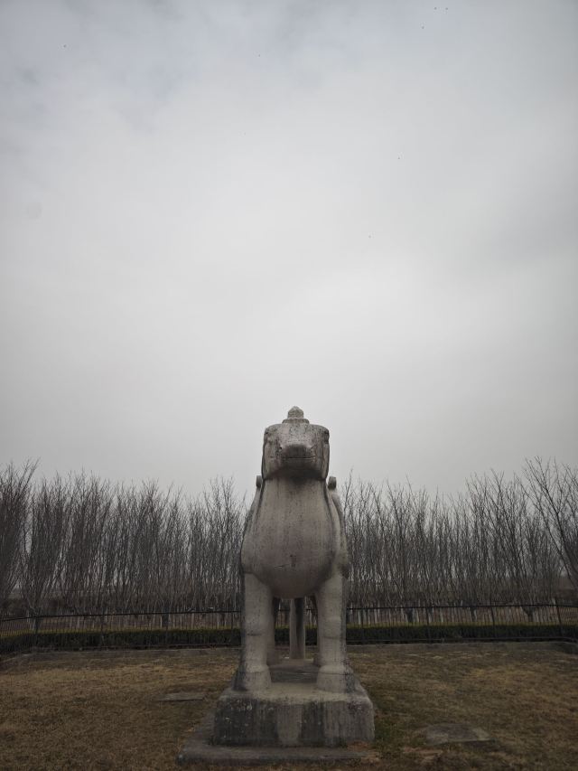 唐顺陵-遗址公园旅行图片 2