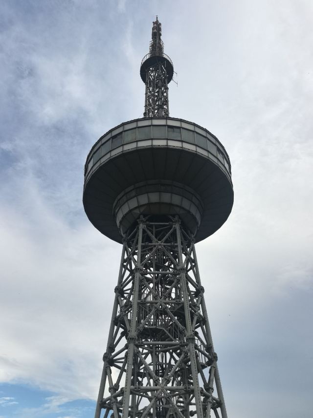 笄山竹海旅行图片 6