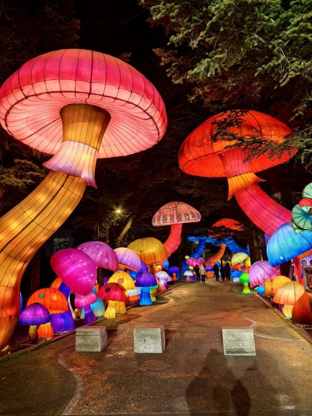 长春市动植物公园旅行图片 3