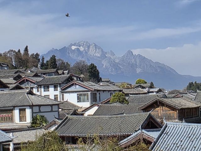 丽江古城旅行图片 6