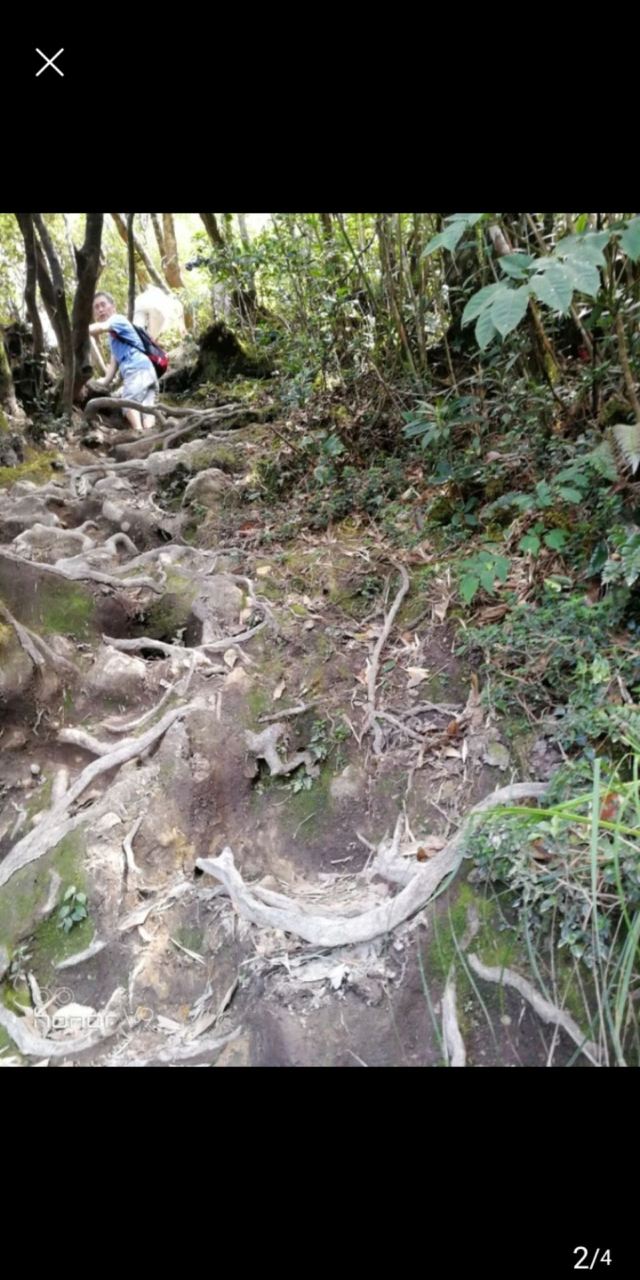 海南热带雨林国家公园五指山景区旅行图片 8