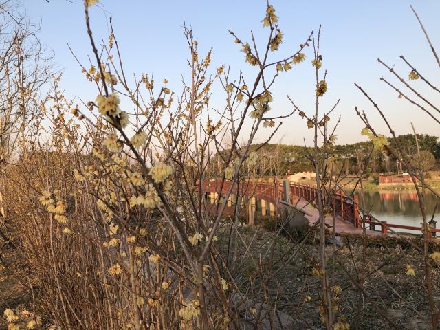 上海浦江之首旅行图片 8