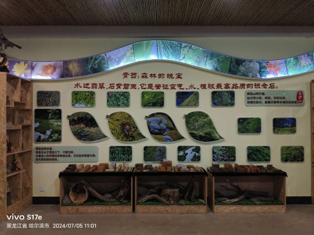 香炉山国家森林公园-自动售卖机旅行图片 7