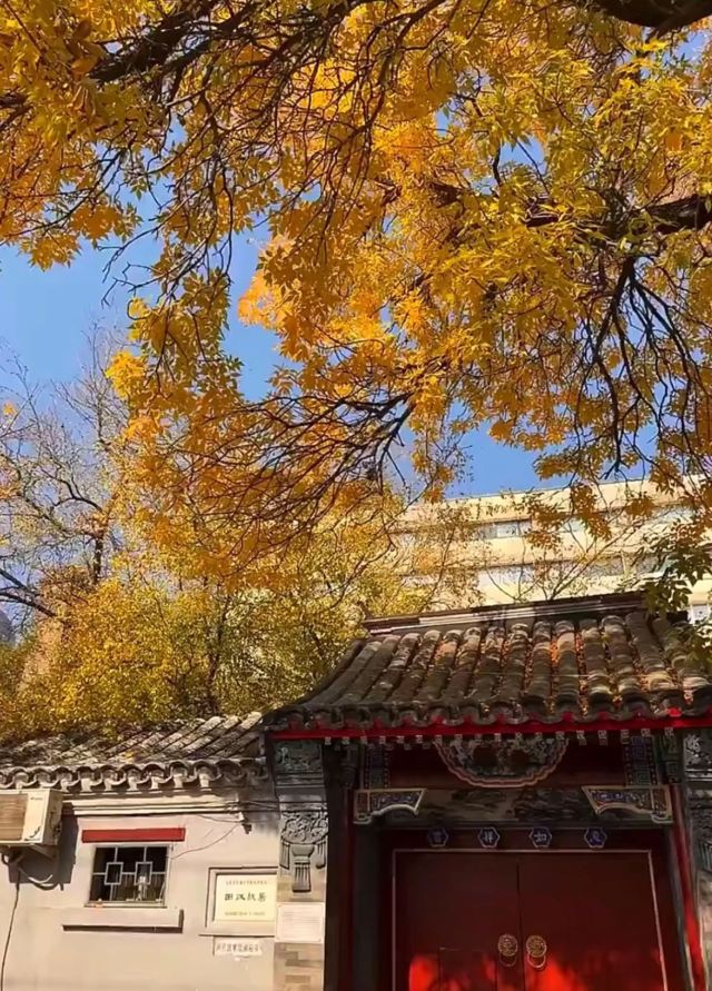 北锣鼓巷旅行图片 2