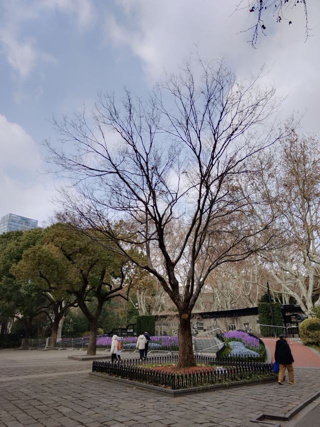 上海鲁迅公园旅行图片 11