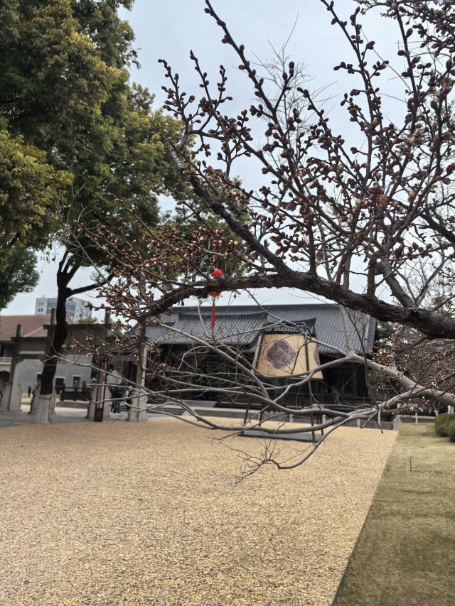 嘉兴子城遗址公园旅行图片 6