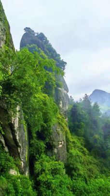 天一巷景区-新宁-田（甜）心盟主