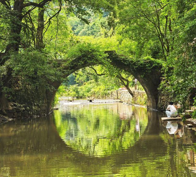 笄山竹海旅行图片 1