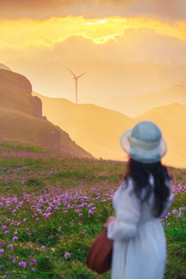 阿西里西韭菜坪旅行图片 3