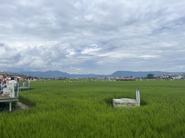大理古城旅行图片 4