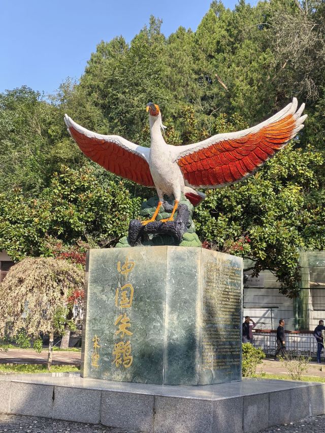 朱鹮生态园(暂停开放)旅行图片 1