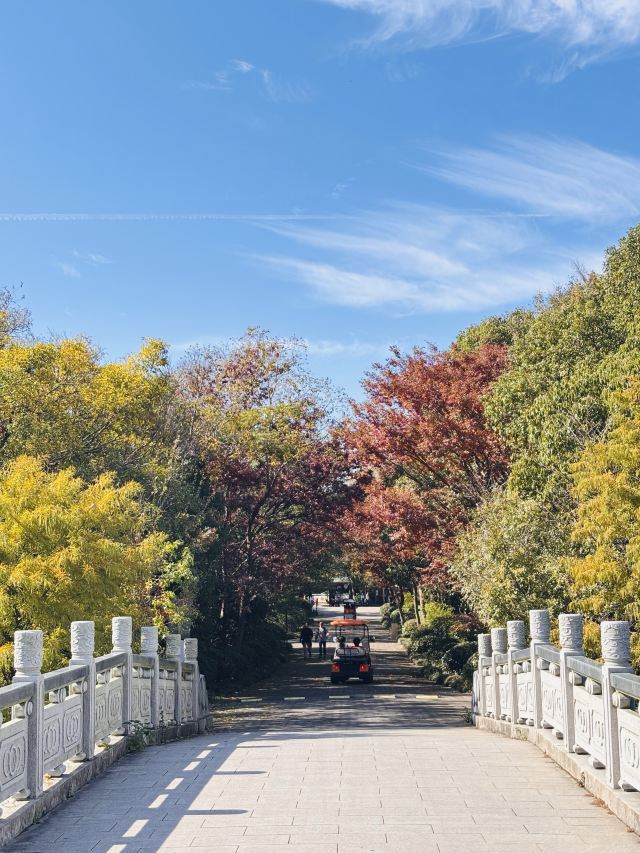 上海海湾国家森林公园旅行图片 3