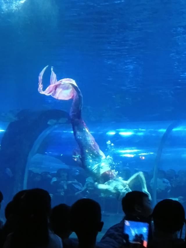 秦皇岛新澳海底世界旅行图片 2
