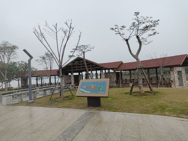 马銮湾环湾带状公园旅行图片 3