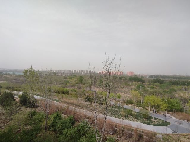 南苑森林湿地公园旅行图片 8