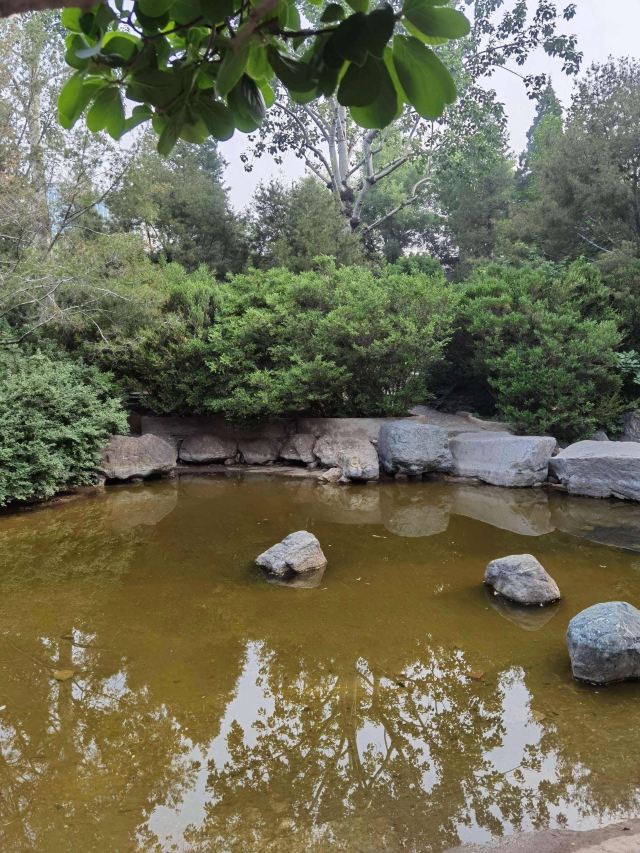双秀公园旅行图片 4