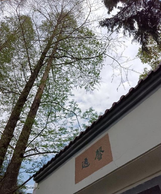 绍兴公园旅行图片 2