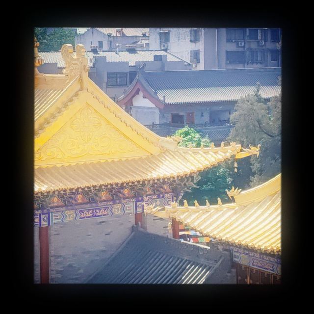 广仁寺旅行图片 8