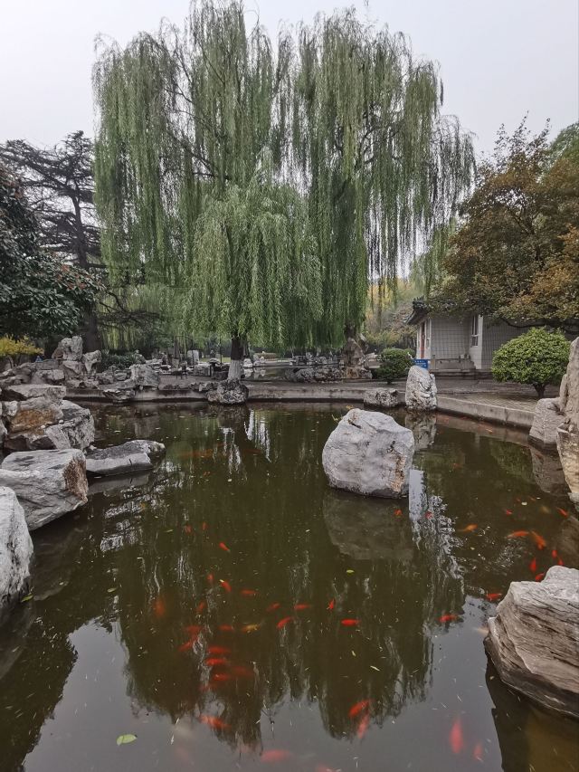 丛台公园旅行图片 2