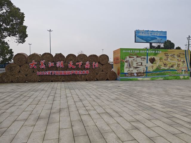 君山岛景区旅行图片 3