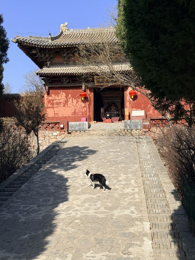 广胜寺旅行图片 6