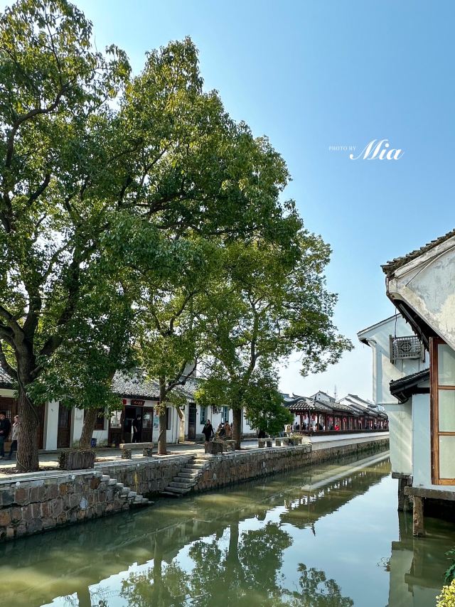 青溪老街旅行图片 6