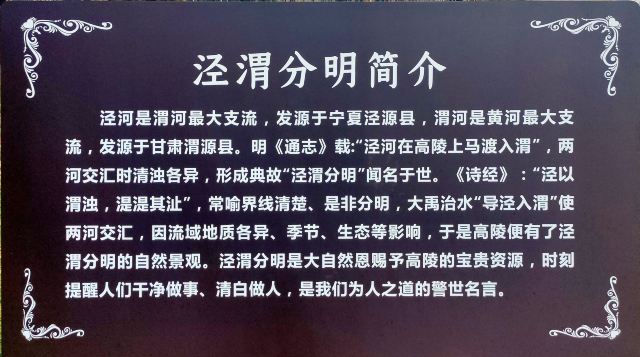 泾渭分明观景台旅行图片 14