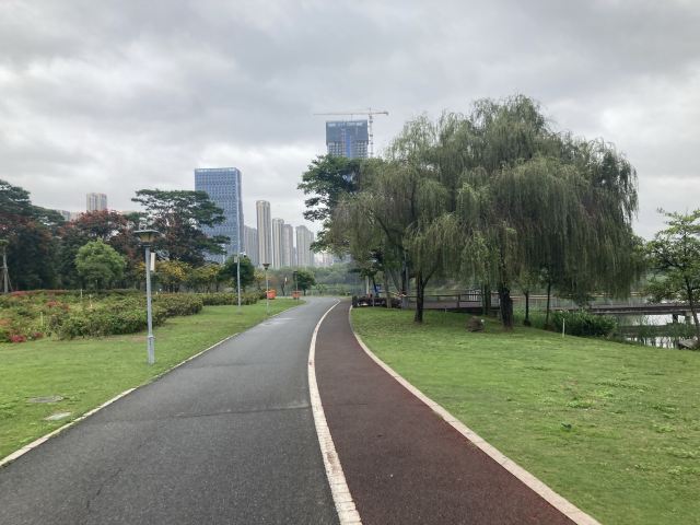 碧湖生态公园旅行图片 15