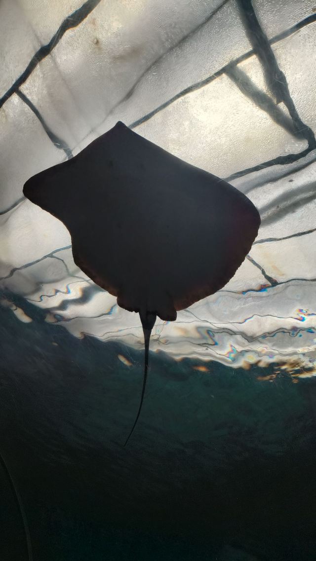 海州湾旅游度假区旅行图片 2