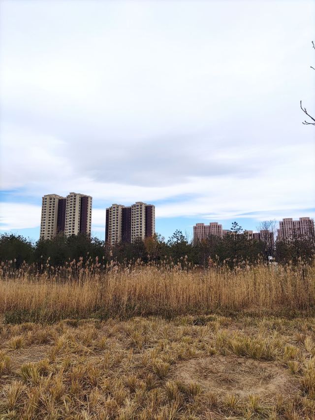 官庄公园旅行图片 4