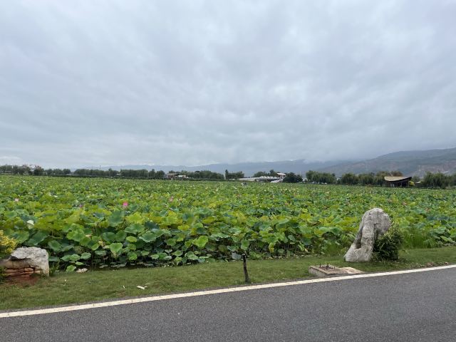 麒麟水乡旅行图片 1