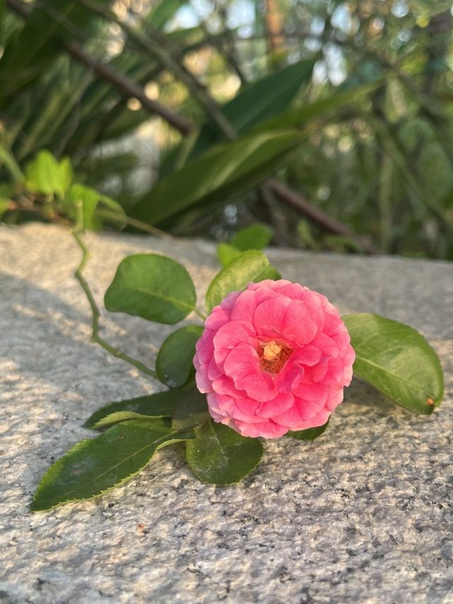 马銮湾双溪湿地公园旅行图片 3