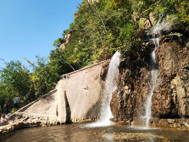 人参谷森林公园旅行图片 1