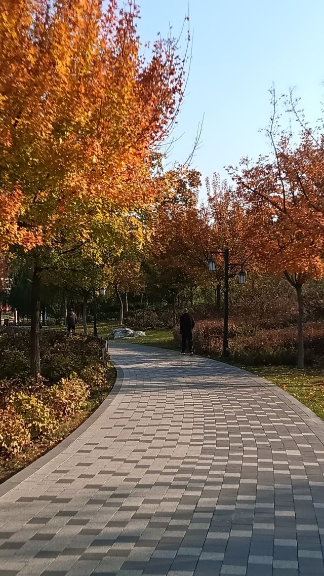 双塔公园旅行图片 7