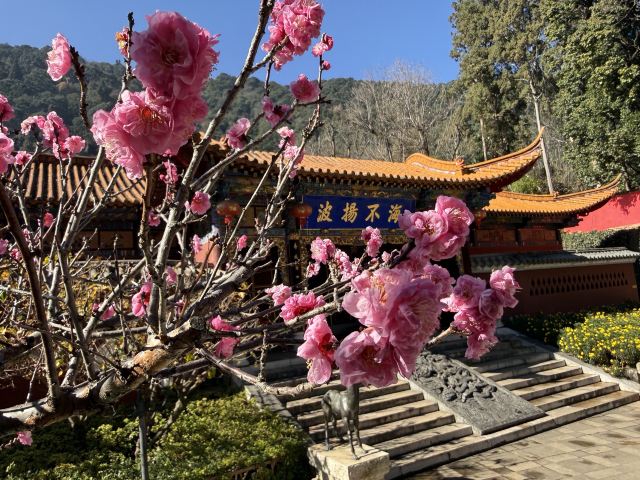 西山风景区旅行图片 7