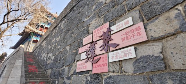 蓬莱阁景区旅行图片 3