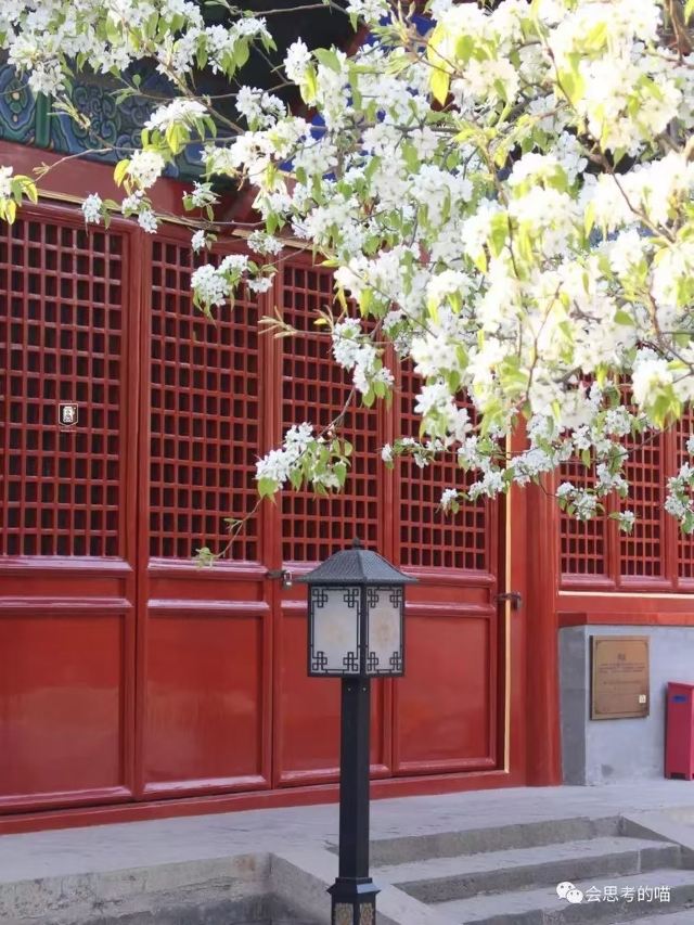智化寺旅行图片 3