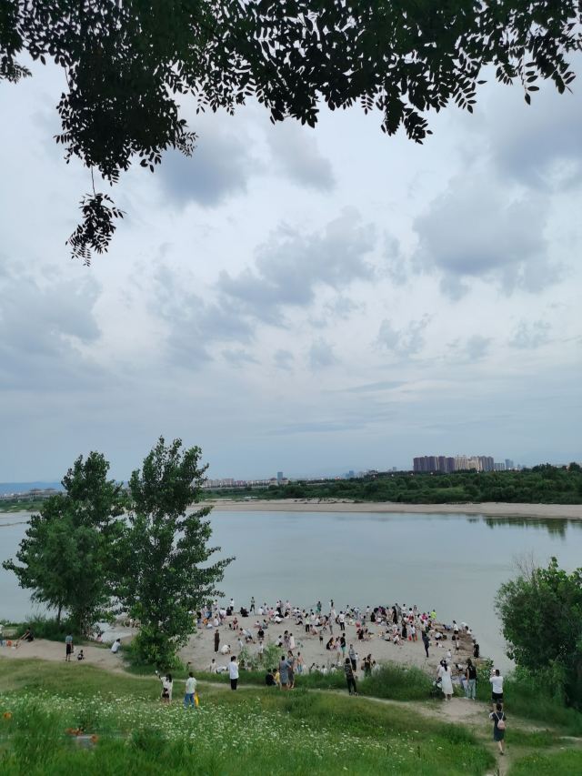 灞渭生态滩区旅行图片 5